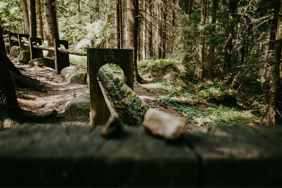 Poskytl: Martin Kalny