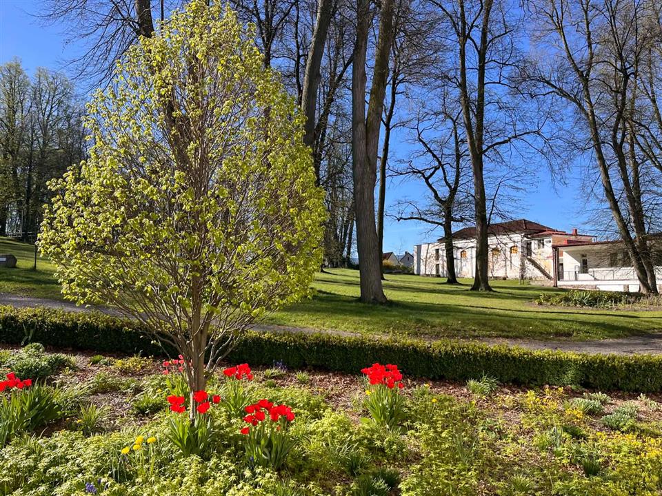 Poskytl: Veronika Koci, ITC Zihobce