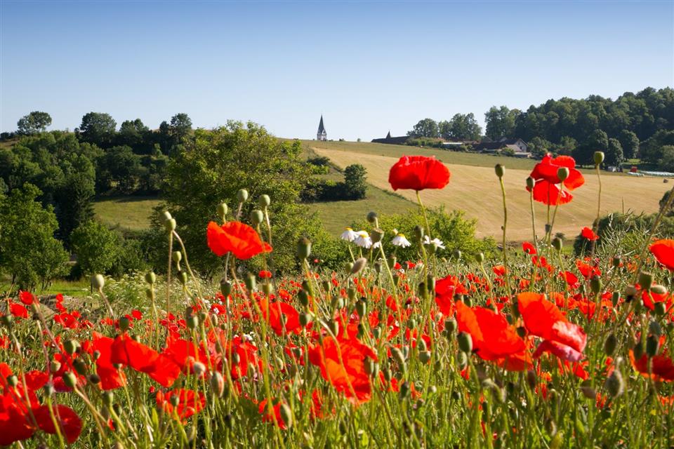 Poskytl: Veronika Koci, ITC Zihobce