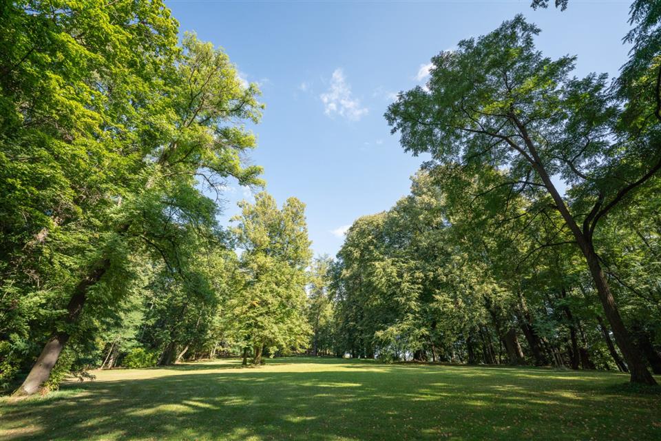 Poskytl: Veronika Koci, ITC Zihobce