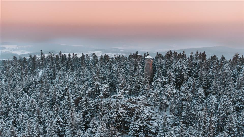 Poskytl: Martin Kalny