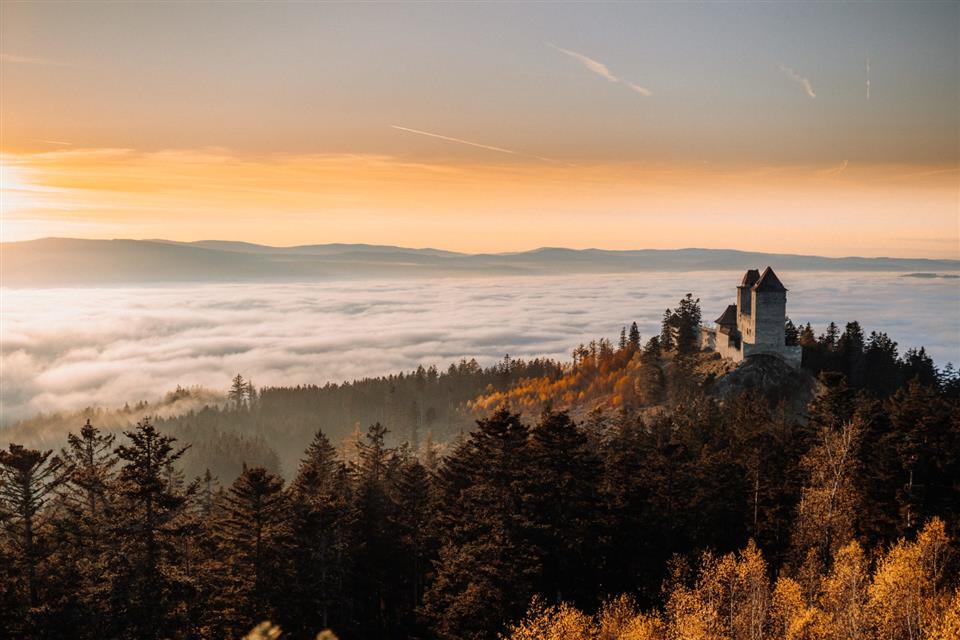 Poskytl: Martin Kalny