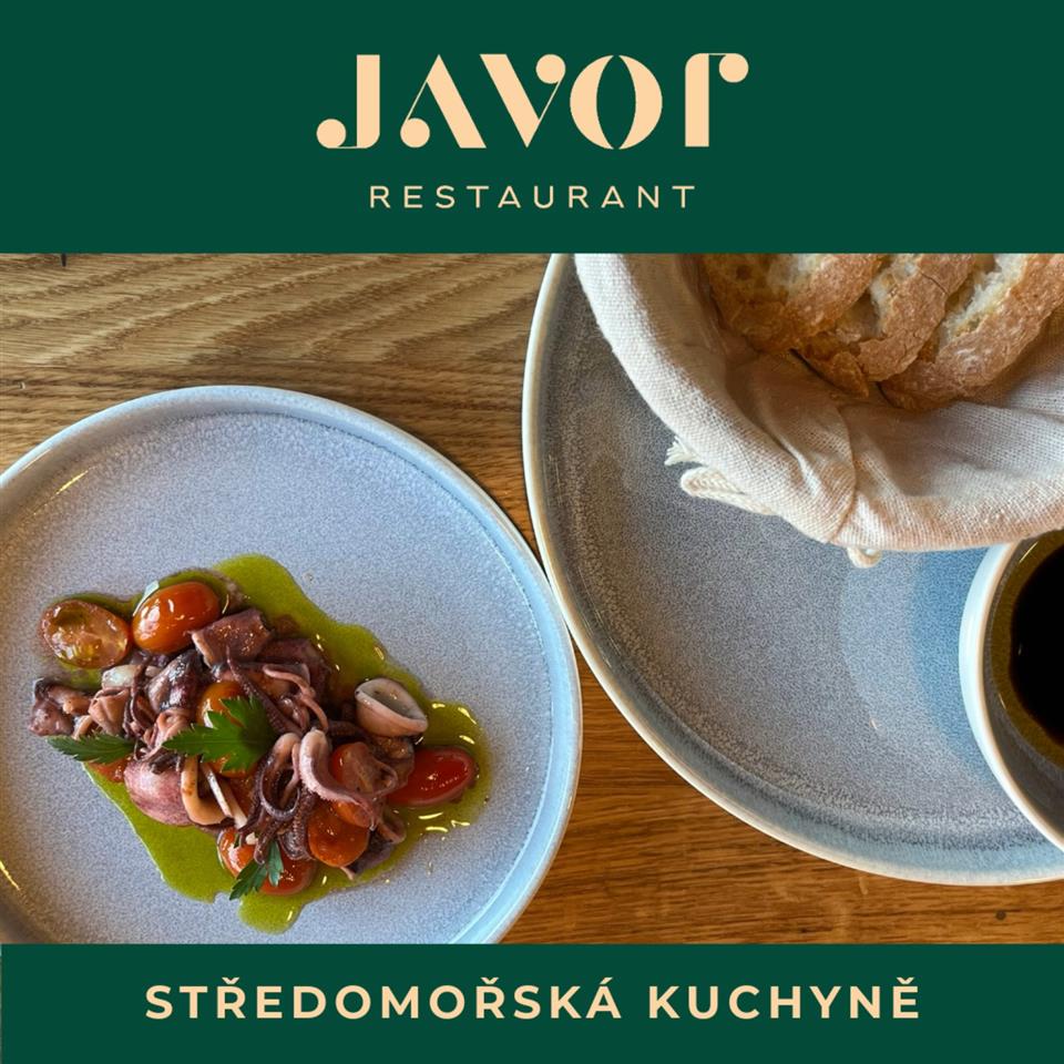 Poskytl: Ing. Petr Kuncl