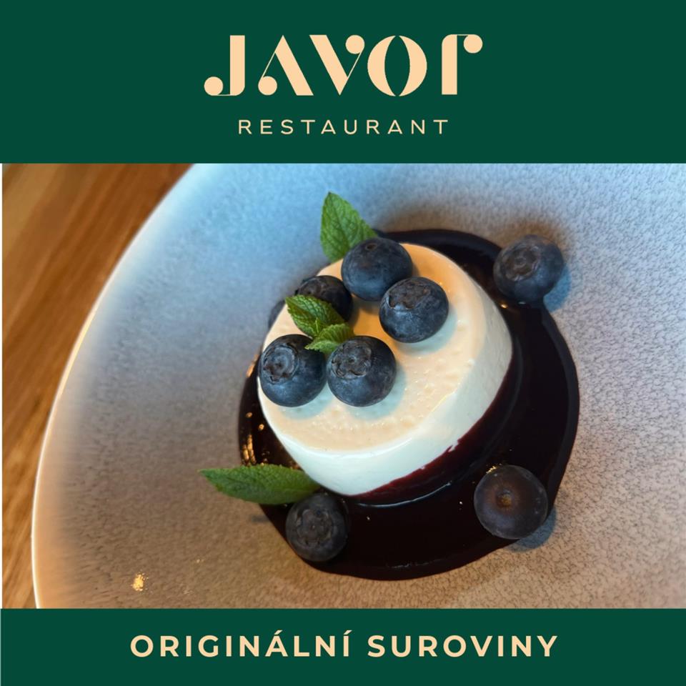 Poskytl: Ing. Petr Kuncl