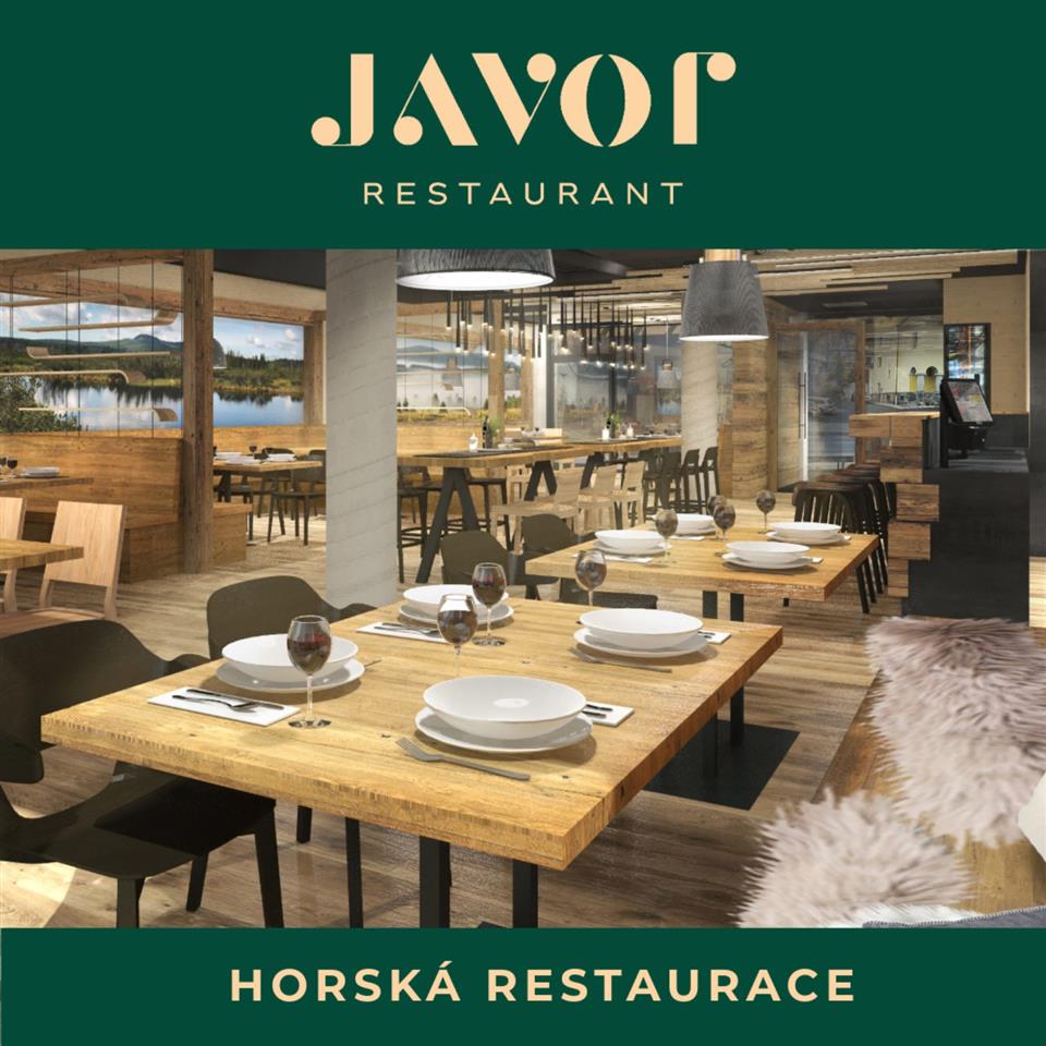 Poskytl: Ing. Petr Kuncl