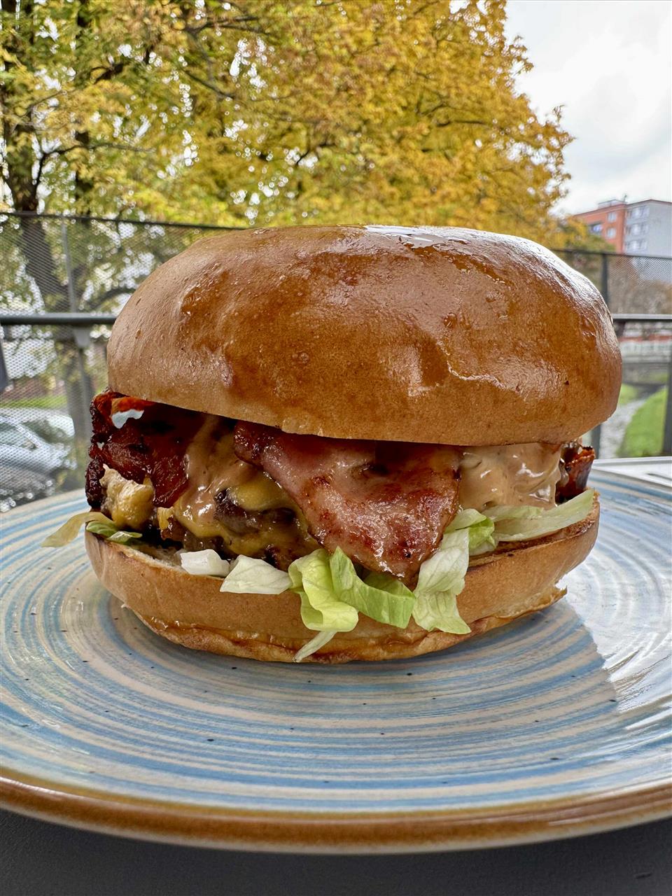 Poskytl: Tomas Nejdl