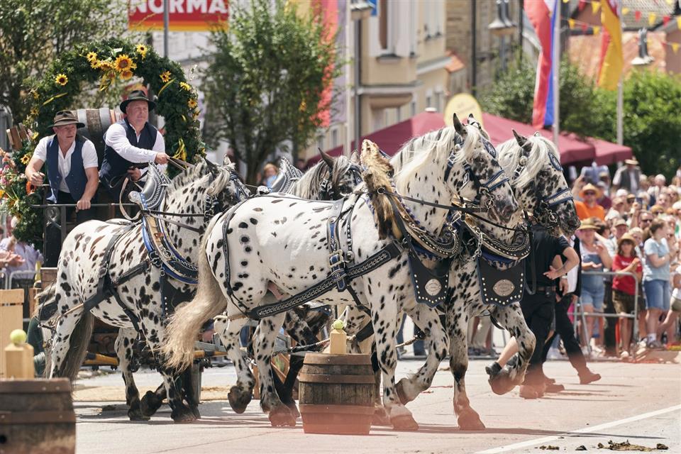 Poskytl: Woidlife Photography