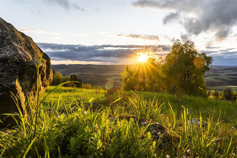 Poskytl: Woidlife Photography