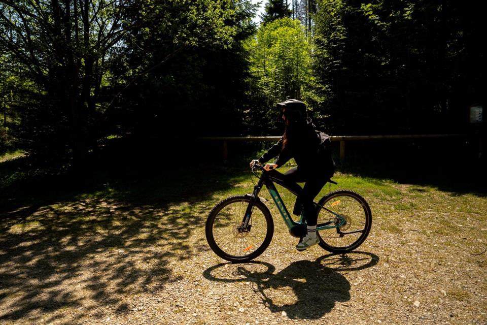 Poskytl: Martin Kalny