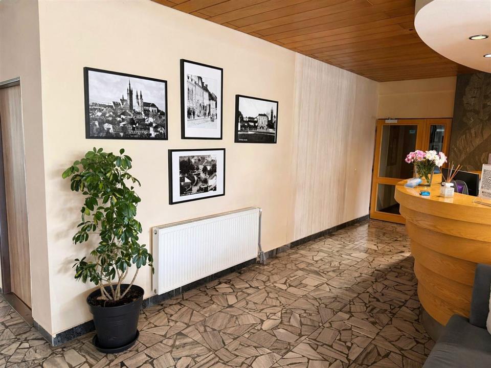 Poskytl: Viktorie Rynesova