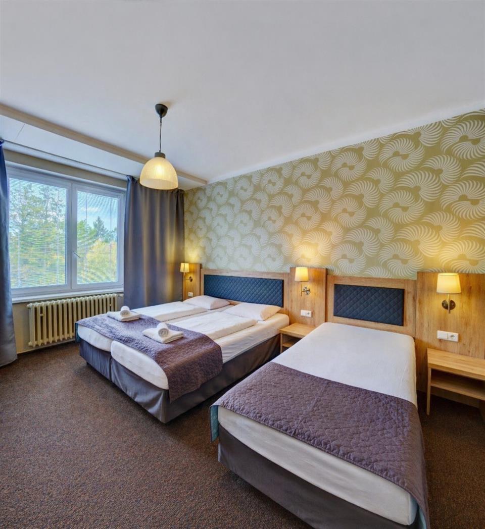 Poskytl: Viktorie Rynesova