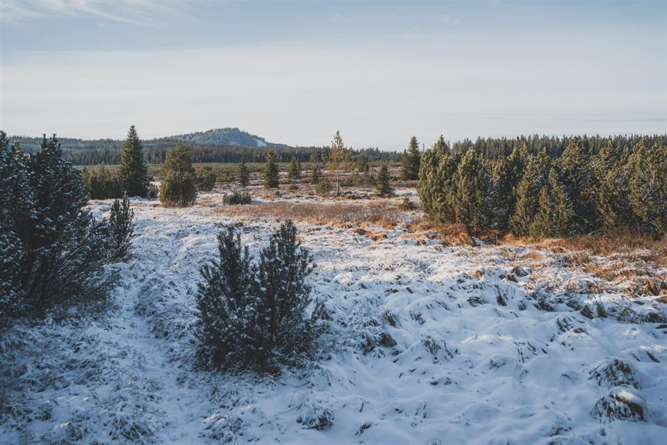 Poskytl: Martin Kalny