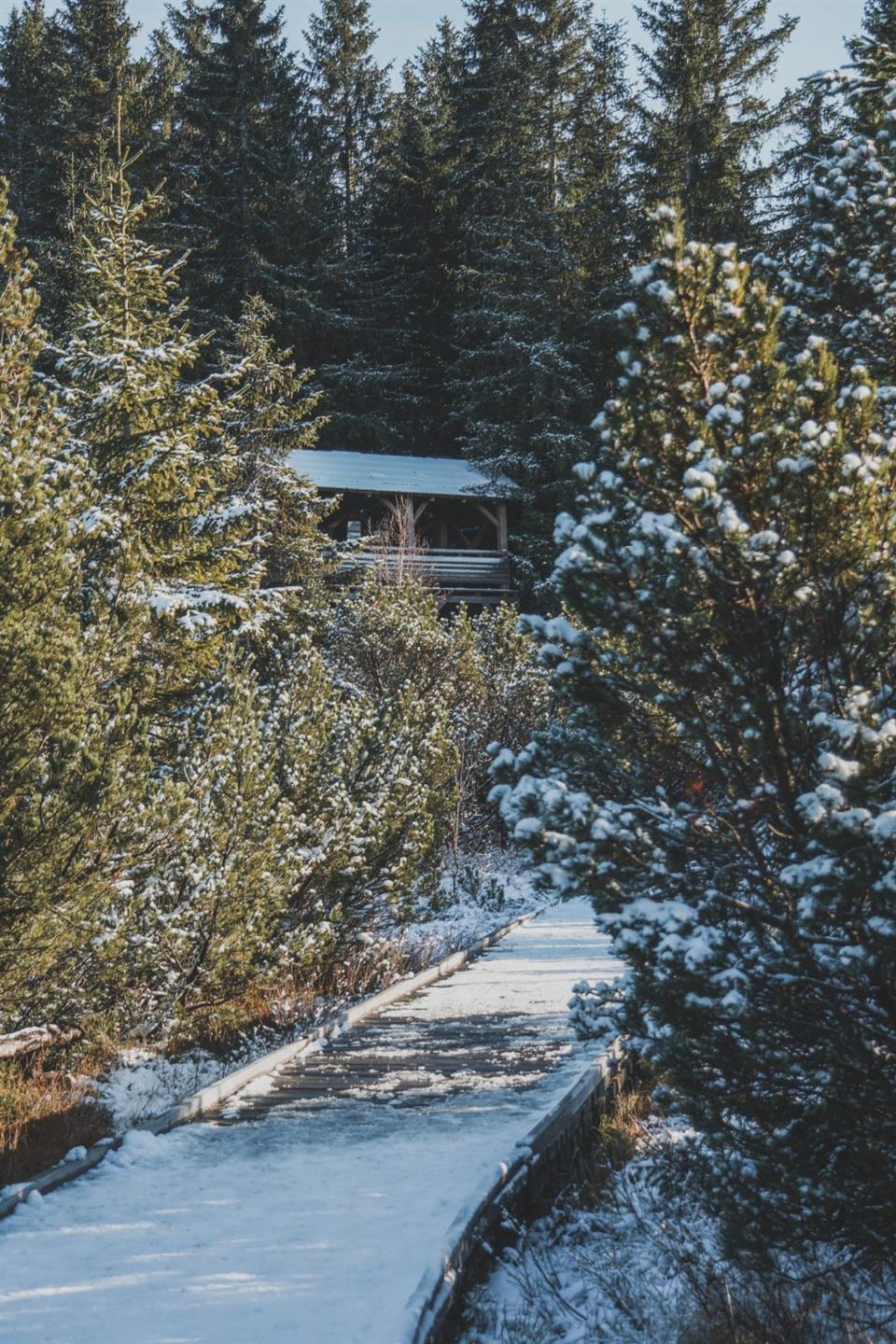 Poskytl: Martin Kalny