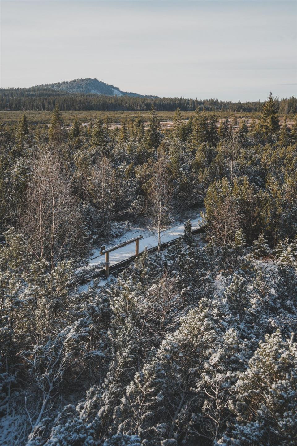 Poskytl: Martin Kalny