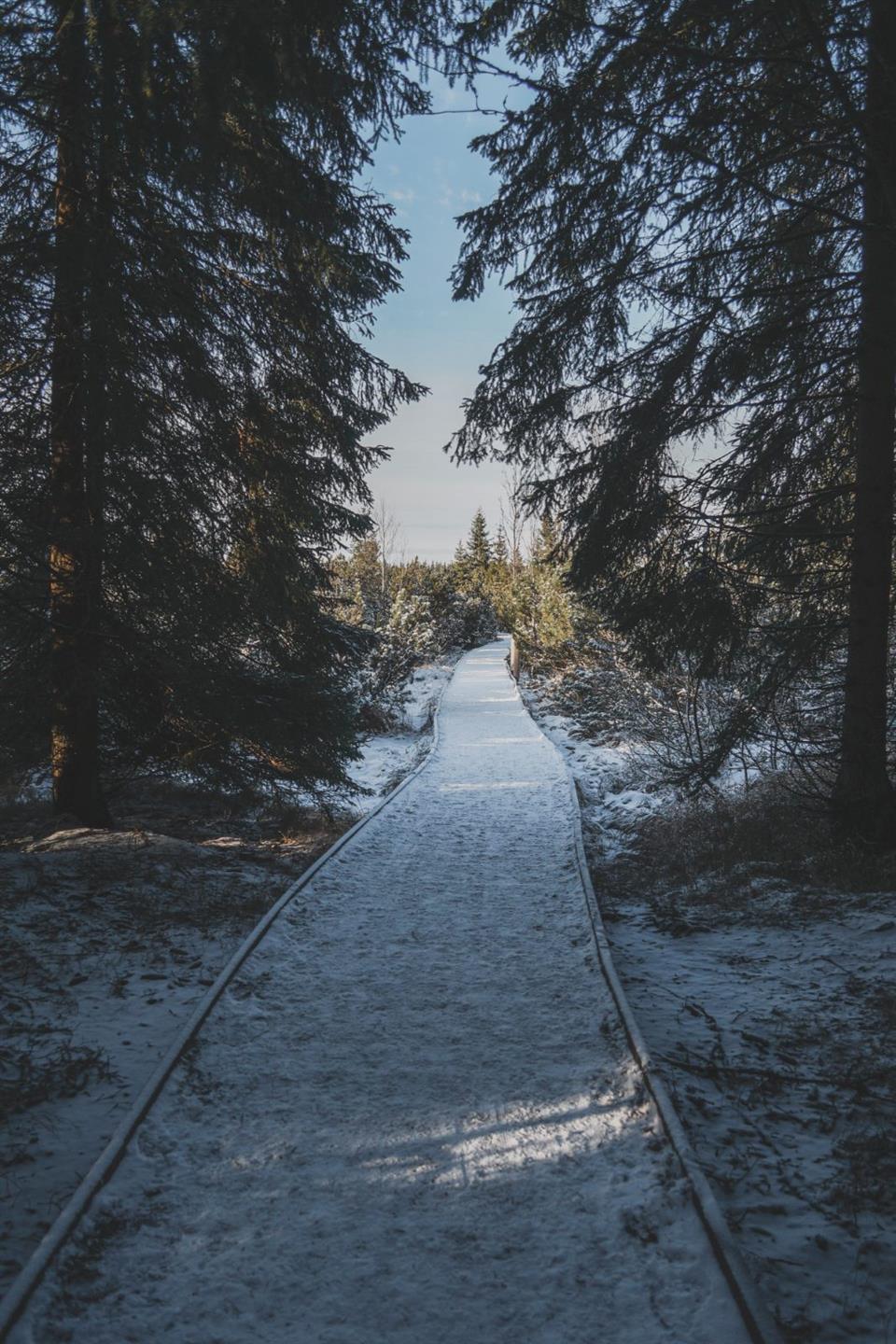 Poskytl: Martin Kalny