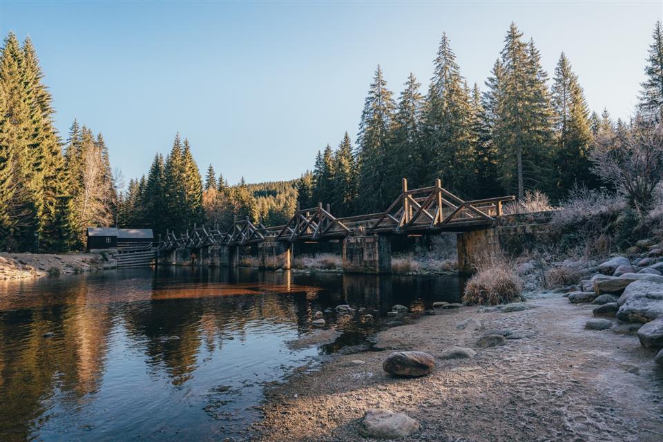 Poskytl: Martin Kalny