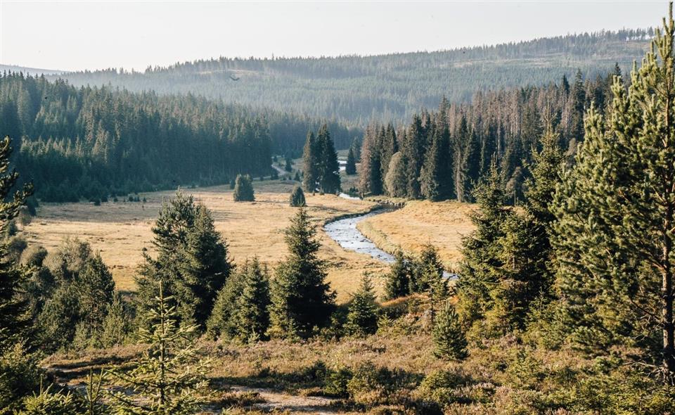 Poskytl: Martin Kalny