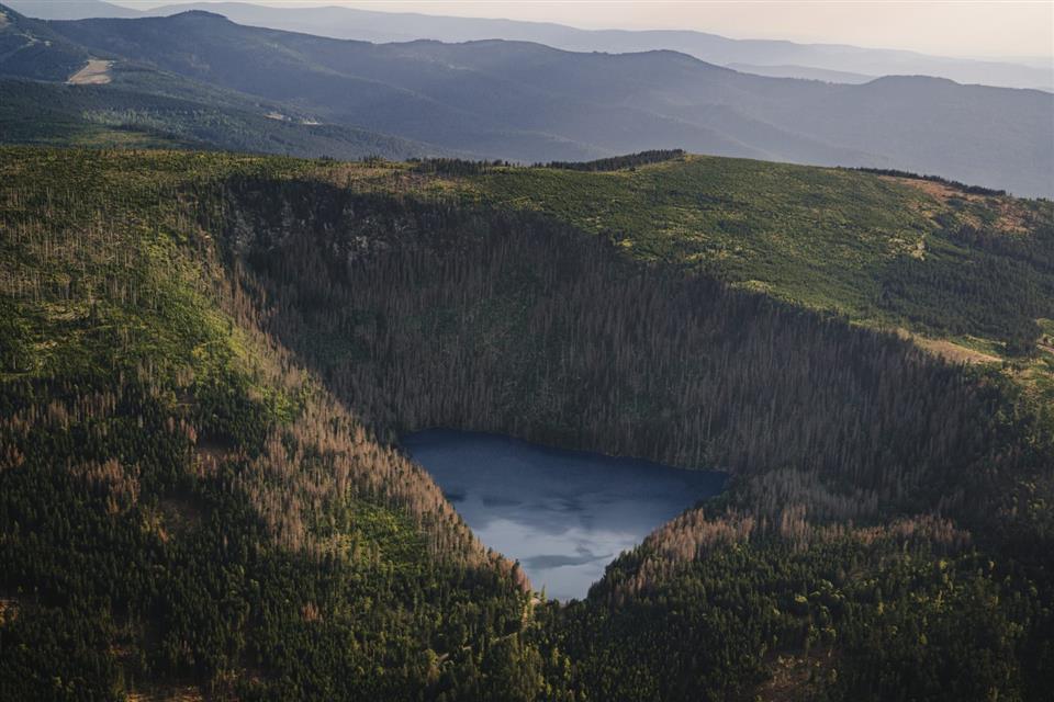 Poskytl: Martin Kalny