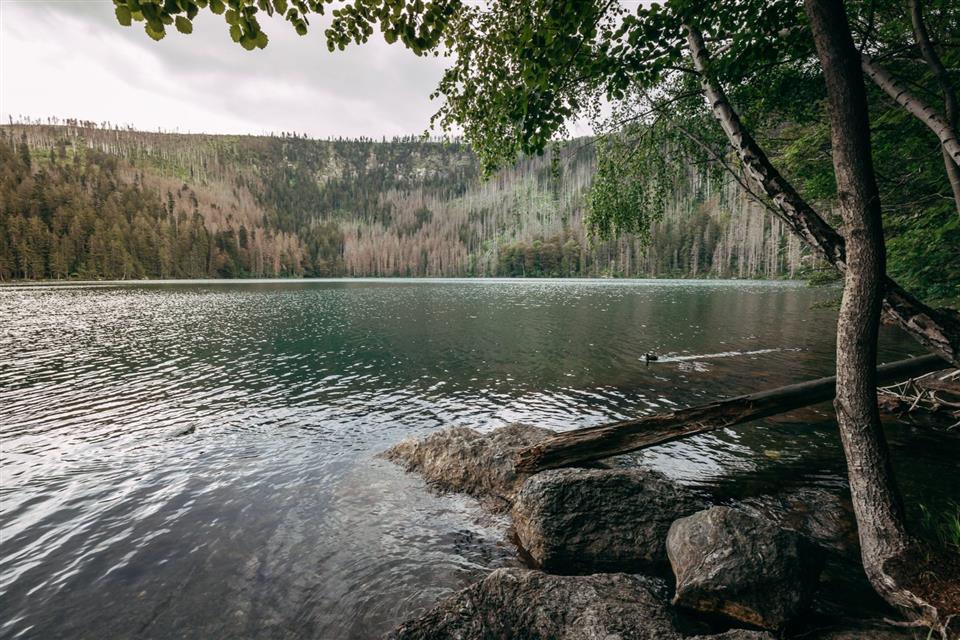 Posklytl: ITC Železná Ruda
