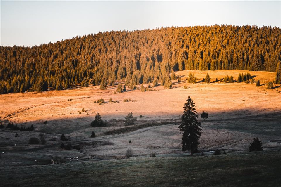 Poskytl: Martin Kalny