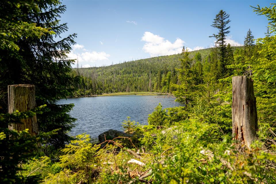 Poskytl: Martin Kalny