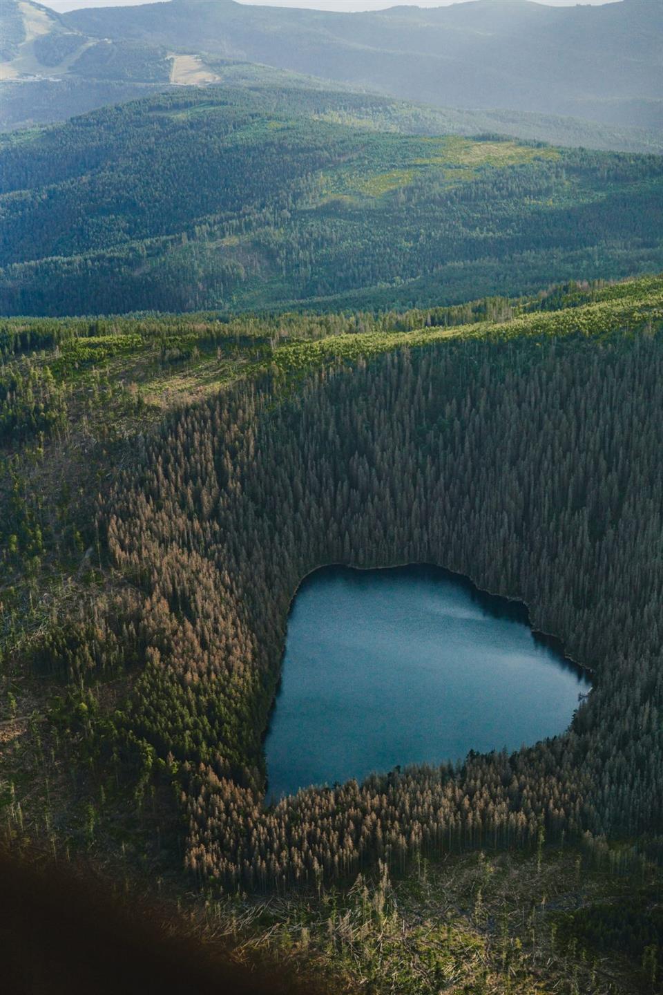 Poskytl: Martin Kalny