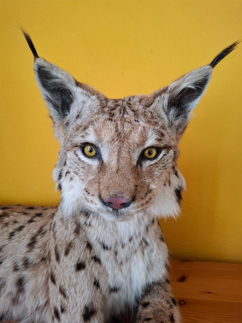 Poskytl: Destinace Sumava zije