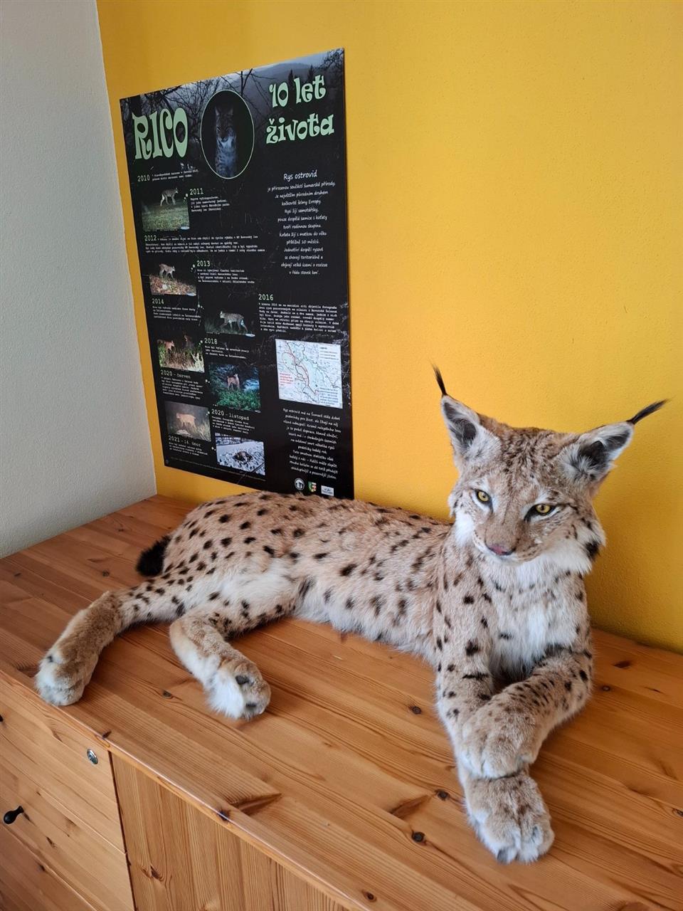 Poskytl: Destinace Sumava zije