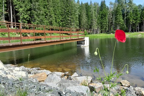 Poskytl: Mesto Zelezna Ruda
