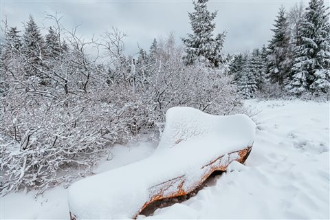 Poskytl: Martin Kalny