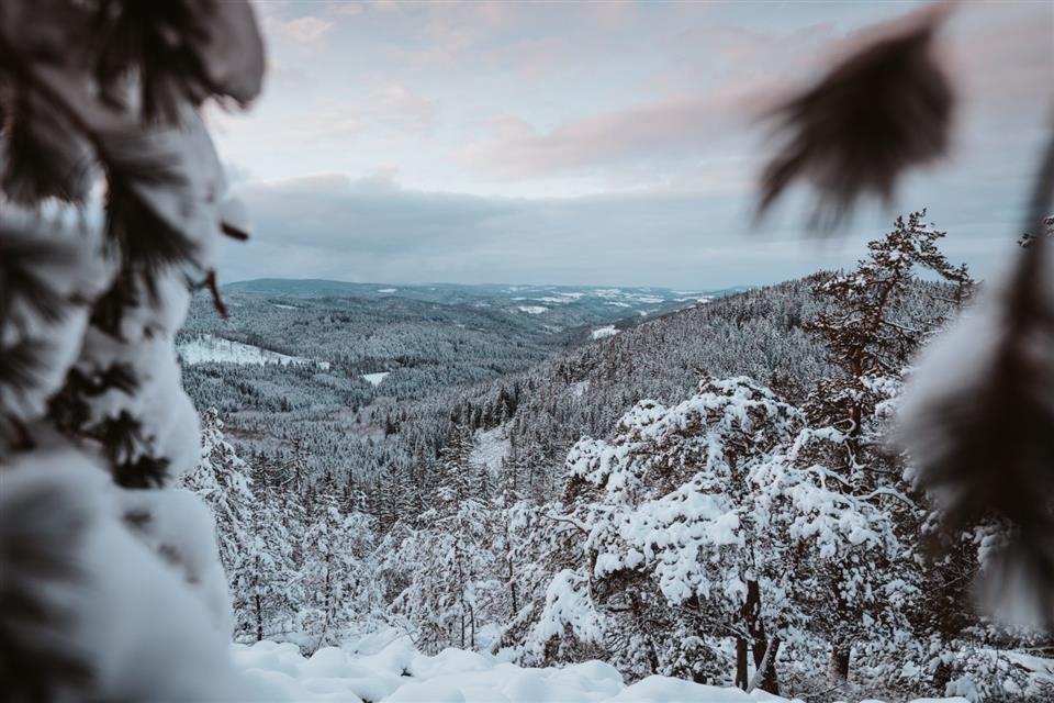 Poskytl: Martin KalnyPoskytl: Martin Kalny